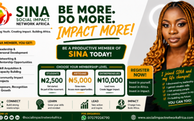 12 Guidelines on Being a productive member of SINA